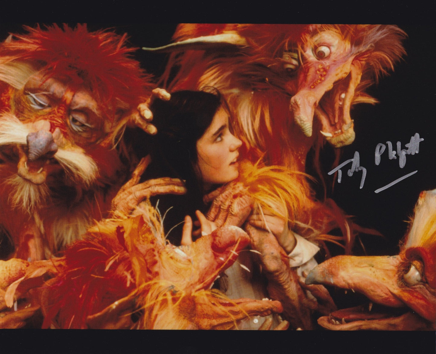 Toby Philpott Autograph Labyrinth Firey 